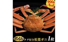 689.【早期受付】【ボイル】タグ付き松葉ガニ　特大1枚（900g～1kg前後）《かに カニ 蟹》※着日指定不可※2026年11月上旬頃から順次発送予定 313726_AL024VC02