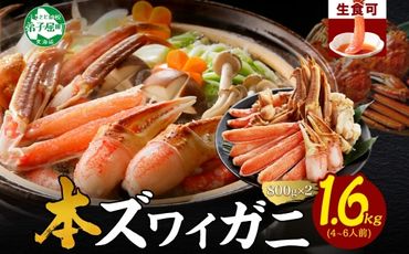 2995.ズワイ蟹しゃぶ ビードロ 800g前後 2個 セット 食べ方ガイド付 生食 生食可 約4-6人前 ズワイガニ ズワイ蟹 カニ かに 蟹 海鮮 鍋 しゃぶしゃぶ 送料無料 北海道 弟子屈町