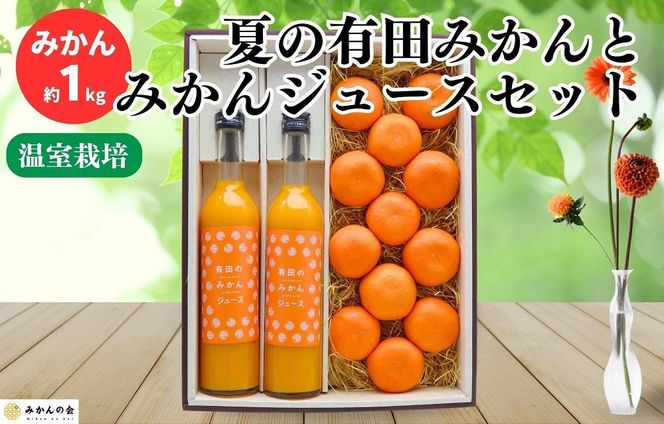 夏の有田みかん (約1kg) と有田のみかんジュース（500ml×2本）和歌山県産 産地直送 	AX156