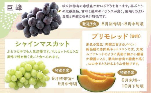 1015.【先行予約 2026年8月以降発送】 鳥取県北栄町から旬の美味しさをお届け！特産づくし【5回定期便】 313726_BN022