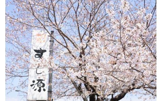 鯖寿司食べ比べ バッテラと炙りバッテラ2本セット [すし源 宮崎県 日向市 452060211]