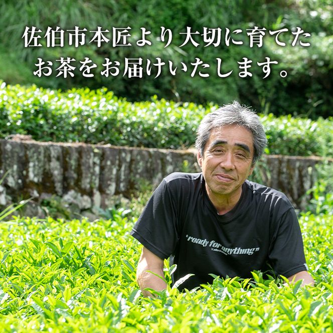 お茶 ティーバッグ 3種セット (釜炒り茶、和紅茶、いちょう葉紅茶・各12個) お茶 緑茶 紅茶 茶 茶葉 釜炒り茶 日本茶 セット 詰め合わせ 大分県 佐伯市 【ES03】【小野農園】