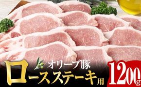 オリーブ豚 ロース ステーキ用  1200g ( 1200g × 1パック ) 5～7人前 372013_AD004