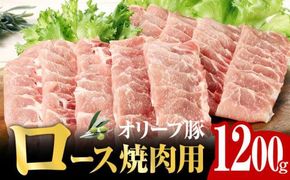 オリーブ 豚 ロース 焼肉 用 1200g ( 1200g × 1パック ) 5～7人前 372013_AD005
