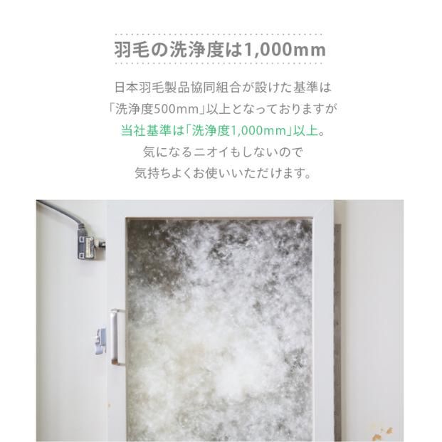 増量羽毛掛けふとん ダウン85% 1.8kg KL 372013_BC123