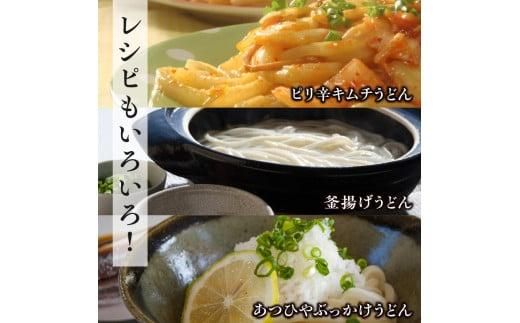 ＜製麺所直送＞乾燥讃岐手打ちうどん普通麺6袋 ・ 細麺6袋(24食分)だし付 372013_BD001