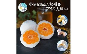 小原紅みかん大福(6個)&フルーツアイス大福3種(各2個)セット 372013_BE002