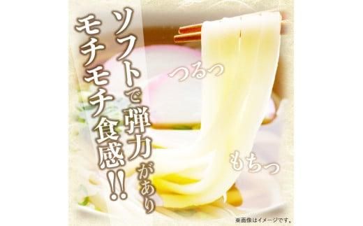 香川県産小麦(さぬきの夢)100%使用　半生うどん　300g×5袋　(15人前)濃縮つゆ付き 372013_BF001
