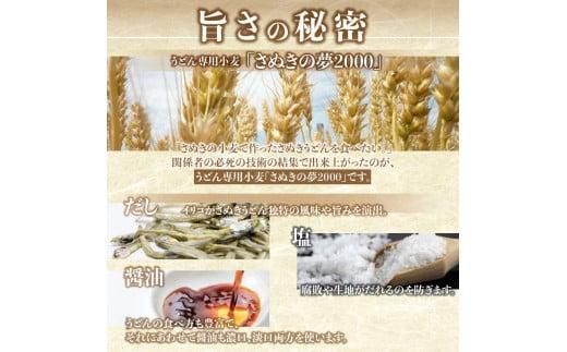 香川県産小麦(さぬきの夢)100%使用　半生うどん　300g×5袋　(15人前)濃縮つゆ付き 372013_BF001