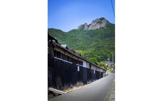 「瀬戸・たかまつネットワーク」香川県　アート島めぐり（小豆島・豊島・直島方面）2日間 372013_BJ004