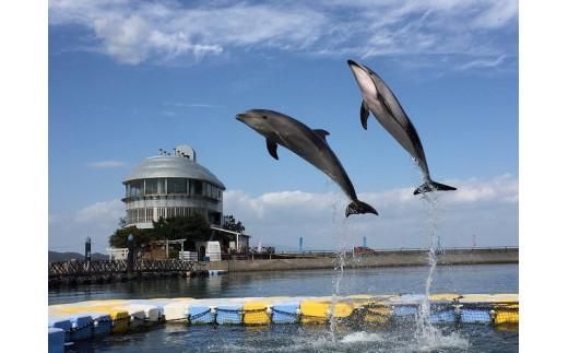 「瀬戸・たかまつネットワーク」香川県（さぬき市・三木町・東かがわ市方面）２日間 372013_BJ005