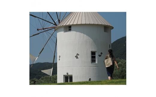 ＜受注生産＞瀬戸内がたくさん詰まった、大容量オリーブ染め帆布トートバッグ 372013_BN001