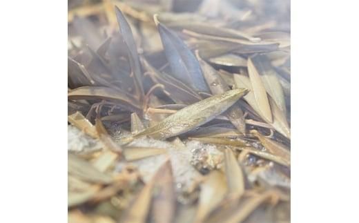 ＜受注生産＞瀬戸内がたくさん詰まった、オリーブ染めミニボストンバッグ　栃木レザーバンドタイプ 372013_BN002