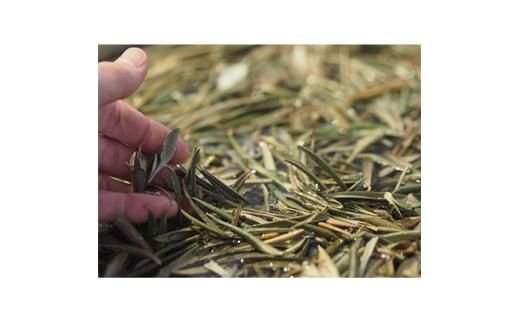 ＜受注生産＞瀬戸内がたくさん詰まった、オリーブ染めミニボストンバッグ 372013_BN003