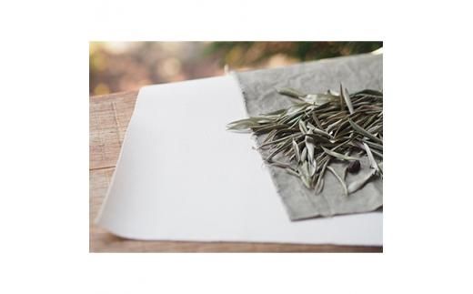 ＜受注生産＞瀬戸内がたくさん詰まった、オリーブ染めミニトートバッグ 372013_BN004