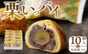 栗いっパイ10個入(化粧箱入り) 372013_BQ013