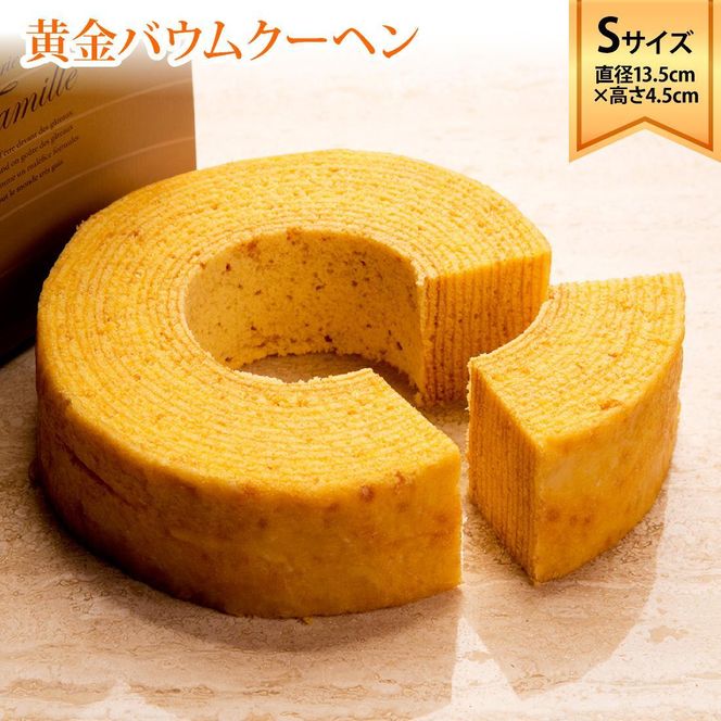 y쌧szEt@~[@oEN[w@STCY(a13.5cm×4.5cm) 372013_BU004