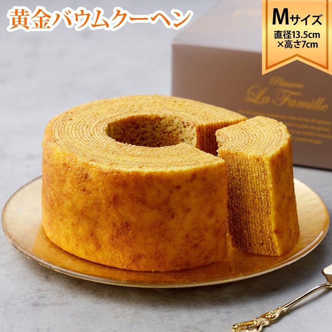 y쌧szEt@~[@oEN[w@MTCY(a13.5cm×7cm) 372013_BU005