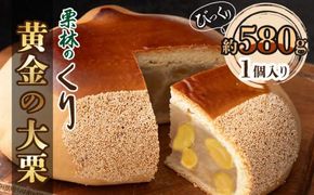 栗林のくり　黄金の大栗 372013_CE002