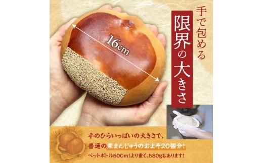 栗林のくり　黄金の大栗 372013_CE002