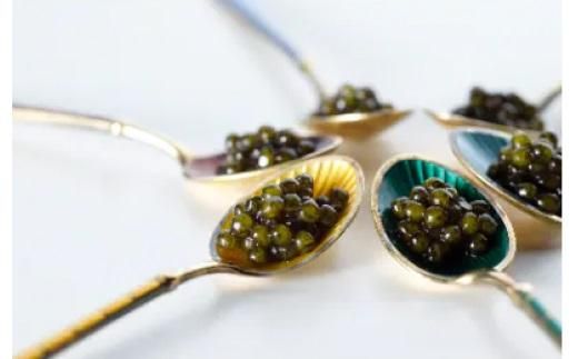 瀬戸内キャビア　ベステル　15g 372013_CM002