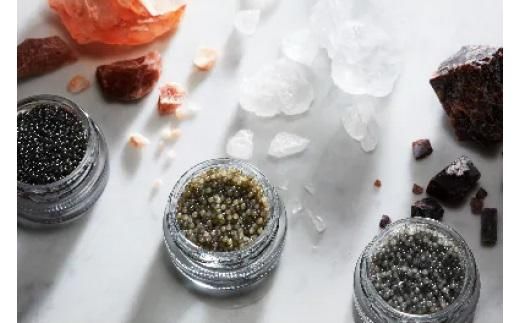 瀬戸内キャビア　ベステル　15g 372013_CM002