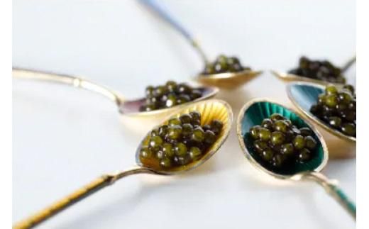 瀬戸内キャビア　ベステル　15g・25gセット 372013_CM003