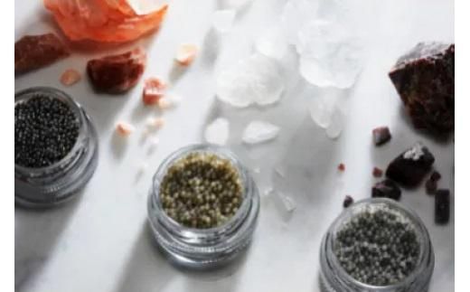 瀬戸内キャビア　ベステル　25g 372013_CM004