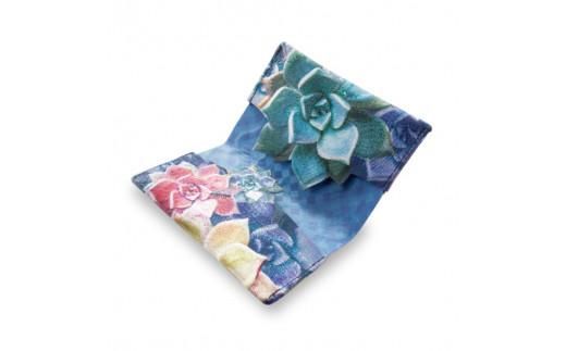 せと刺織り(R) カードケース（エケべリアネイビー）　せと刺繍(R) 372013_CT005