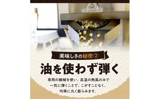 外はカリカリ！中はふんわり！リッチポップコーン　２種セット（小豆島醤油＆瀬戸内塩キャラメル） 372013_CX003