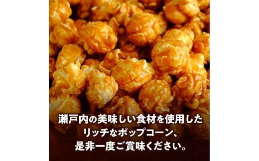 外はカリカリ！中はふんわり！リッチポップコーン　２種セット（瀬戸内レモン＆瀬戸内塩キャラメル） 372013_CX004