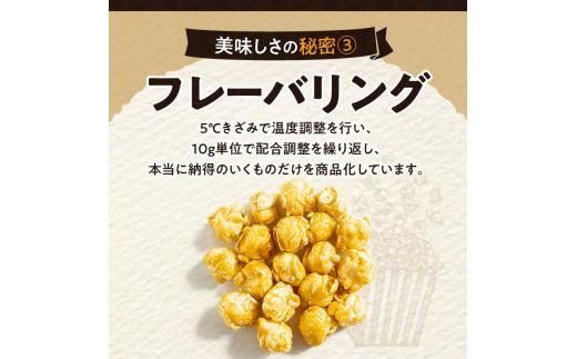 外はカリカリ！中はふんわり！リッチポップコーン　２種セット（瀬戸内レモン＆小豆島醤油） 372013_CX005