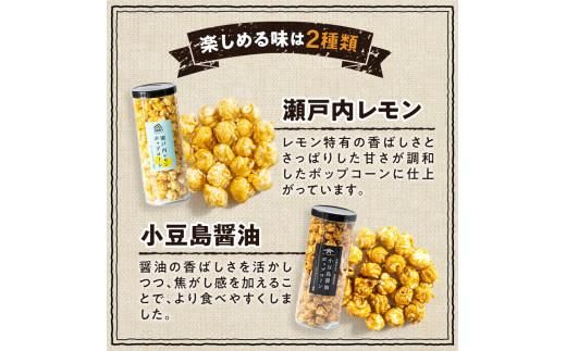 外はカリカリ！中はふんわり！リッチポップコーン　２種セット（瀬戸内レモン＆小豆島醤油） 372013_CX005