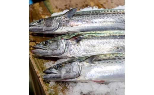 【かがわ県産品コンクール優秀賞受賞】料亭二蝶『讃産さわらの味噌漬け』　1箱（6切入） 372013_CY001