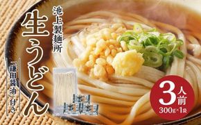 本家　池上製麺所　生うどん（鎌田醤油付）1袋（3人前） 372013_DQ001