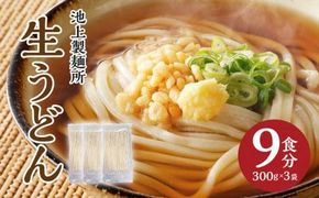 本家　池上製麺所　生うどん9食（麺のみ） 372013_DQ003