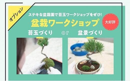 「たくたび高松」観光タクシー プラン4 372013_DW004