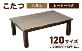 こたつ　八重山　120サイズ 372013_DX019