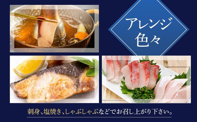 オリーブハマチ1尾 約4kg 372013_EG001