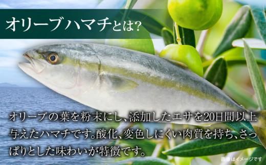 香川県産オリーブハマチのぶりしゃぶセット 372013_EG003