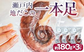 瀬戸内地だこの一本足 372013_EG004