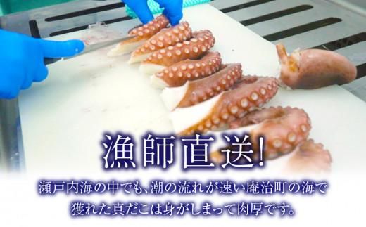 瀬戸内地だこの一本足 372013_EG004
