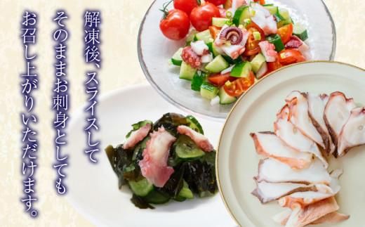 瀬戸内地だこの一本足 372013_EG004