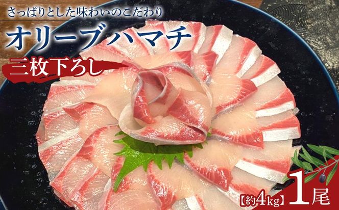 y쌧szI[un}`1O낵 4kg 372013_EG009