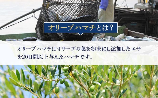 オリーブハマチ1尾三枚下ろし 約4kg 372013_EG009