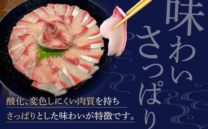 オリーブハマチ1尾三枚下ろし 約4kg 372013_EG009