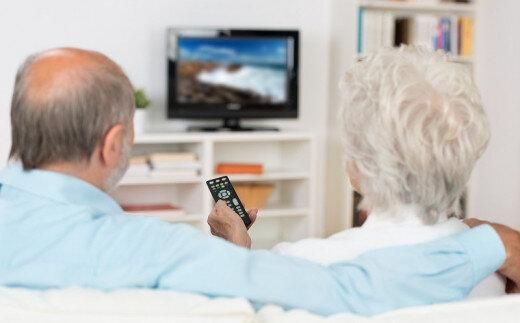 【1年間利用チケット】テレビ電話サービス 372013_ER003