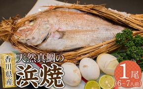 天然真鯛の浜焼1尾（6人～7人前） 372013_ES003