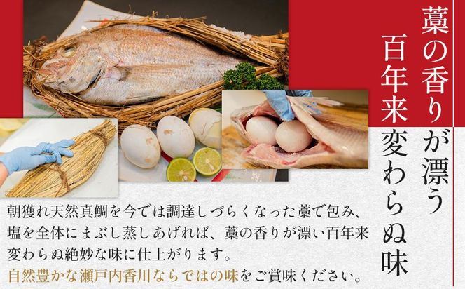 天然真鯛の浜焼1尾（6人～7人前） 372013_ES003