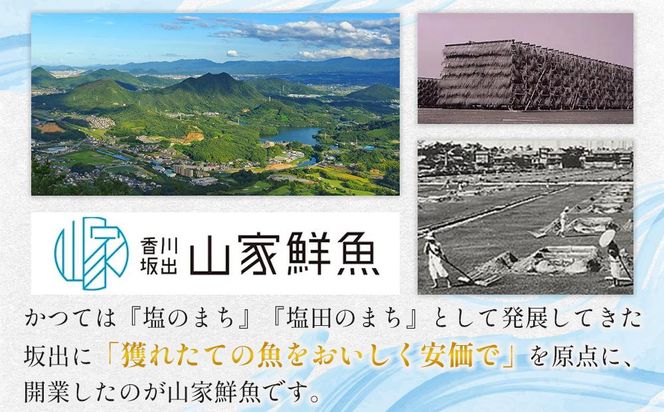 鰆の味噌漬（10切入） 372013_ES005